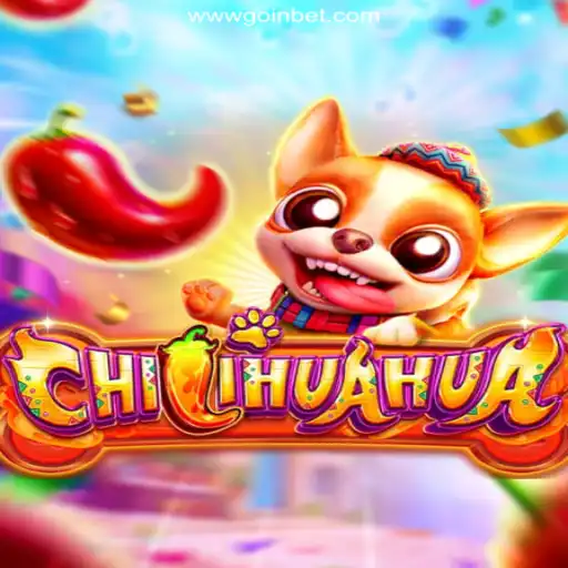 Experience the Thrill of 